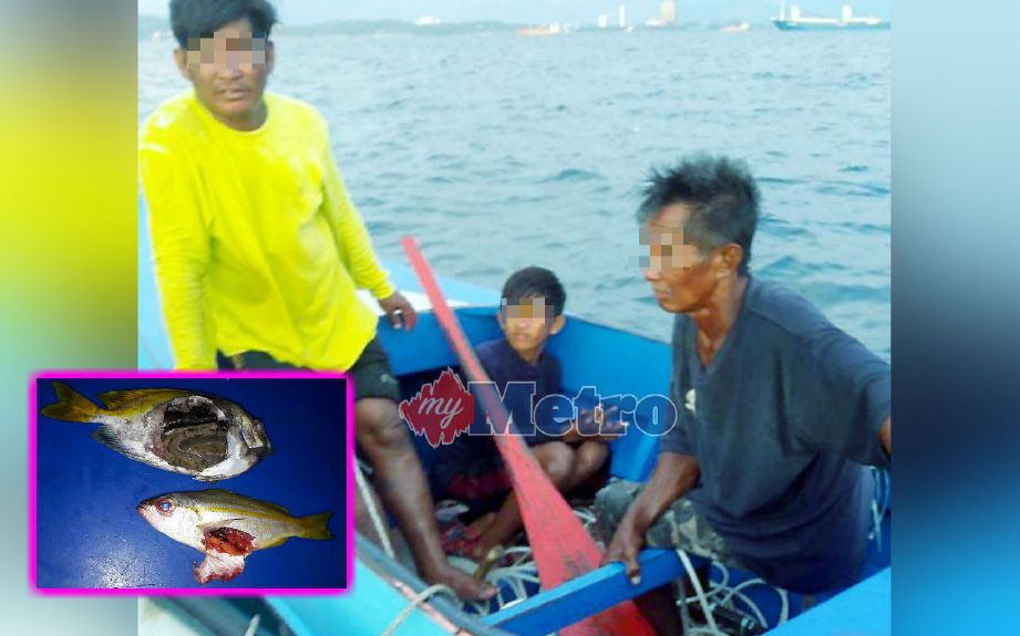 SEBUAH pam bot yang disyaki memiliki hasil tangkapan ikan dengan cara bom di perairan Pulau Gaya, Kota Kinabalu ditahan Agensi Penguatkuasaan Maritim Malaysia (APMM). Gambar kecil, ikan yang dibom. FOTO NSTP/IHSAN APMM.