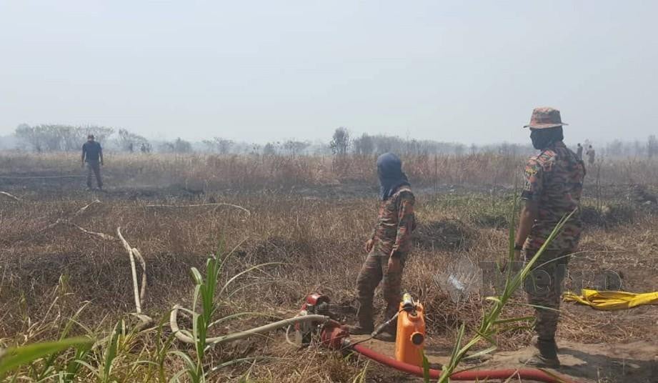 Anggota bomba menjalankan operasi pemadaman kebakaran di Hutan Simpan Kuala Langat Selatan sejak Jumaat lalu. 