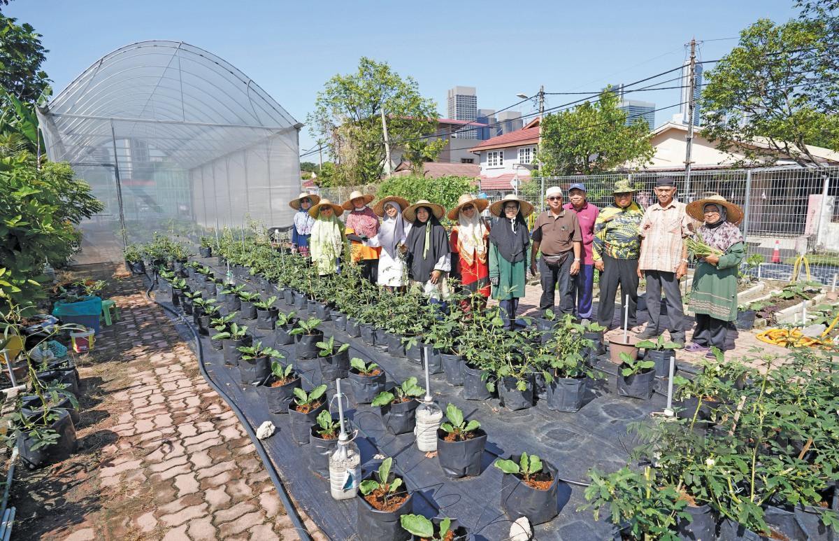 AHLI Kebun Komuniti Bandar PLKDK berazam untuk tingkatkan hasil pertanian. FOTO Effendy Rashid