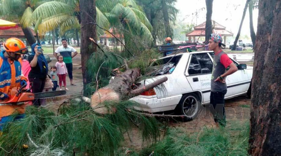 KERETA Proton Saga milik Mazuwari rosak akibat dihempat pokok tumbang di Taman Awam Lagun Kuala Ibai (TALKI), Kuala Terengganu. FOTO ihsan pembaca.
