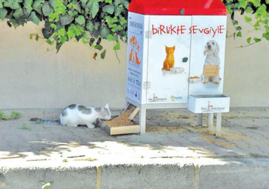 MESIN dispenser makanan kucing. FOTO Agensi