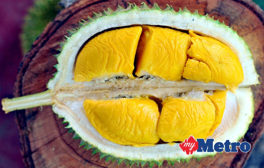 ISI durian Musang King. FOTO arkib NSTP