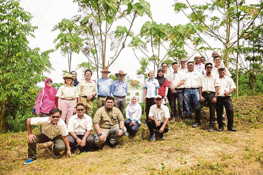 SEBAHAGIAN pengurusan FRIM dan SDP selepas majlis projek ‘Plant-A-Tree’ di Ladang Jentar. FOTO fail NSTP