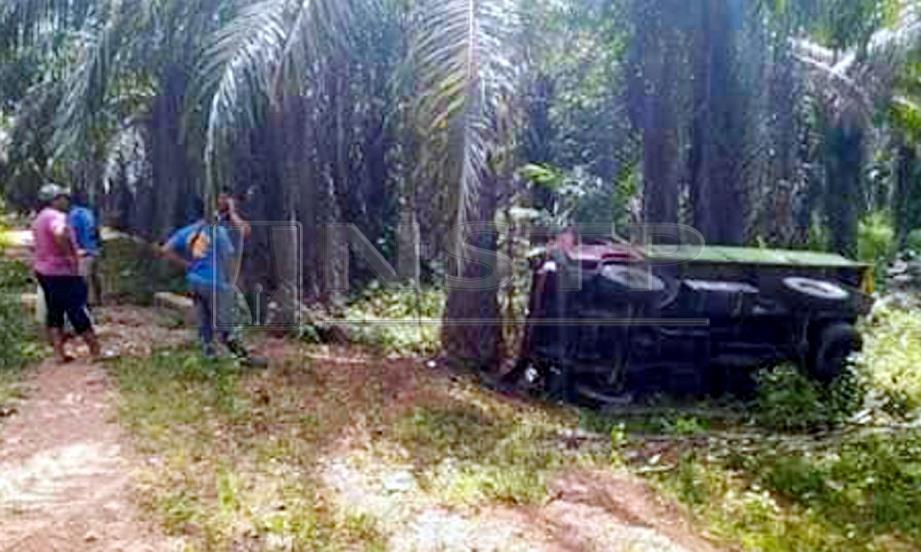 KEADAAN lori terbabit kemalangan selepas dilarikan seorang lelaki kurang siuman di dalam ladang kelapa sawit di FELDA Jengka 9, Bandar Pusat Jengka, Maran. FOTO ihsan pembaca. 