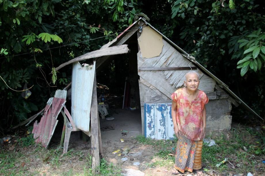AH Pek di halaman bangsal anaknya, Chee Ann yang hidup terpencil di bangsal dalam hutan. FOTO Nik Abdullah Nik Omar