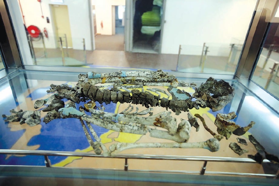 RANGKA Orang Perak berusi 11,000 tahun di galeri arkeologi.