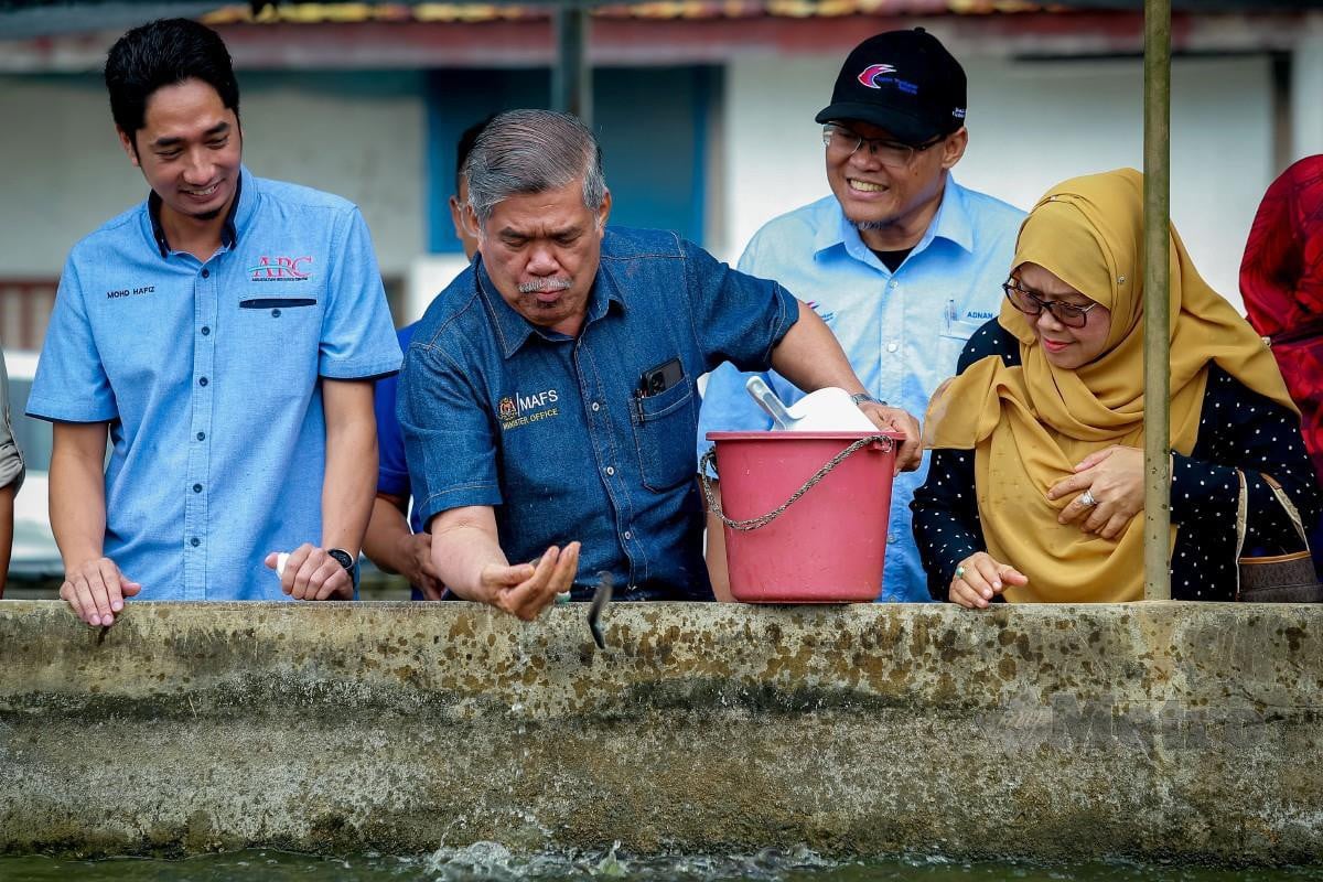 ADNAN (dua dari kanan) mengiringi Mohamad melihat ternakan anak ikan pada program Santai Akuakultur Menteri Pertanian dan Keterjaminan Makanan Bersama Media di Ladang Pembenihan dan Ternakan Ikan Air Tawar, Bestari Jaya. FOTO Asyraf Hamzah