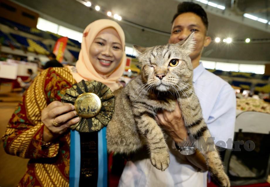 KUALA NERUS 20 JULAI 2019. Mohd Fizi Abdullah, 43, dan isteri, Rozita Haron, 43, bersama Mr Ungkalliciuos yang cacat mata kanan pada Terengganu CFA International Cat Show 2019 di Stadium Tertutup Gong Badak. NSTP/ROZAINAH ZAKARIA