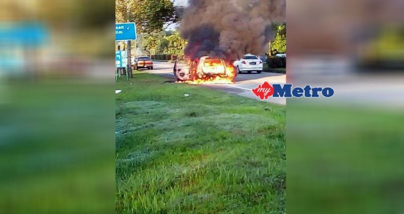 Kereta terbakar langgar kerbau  Harian Metro