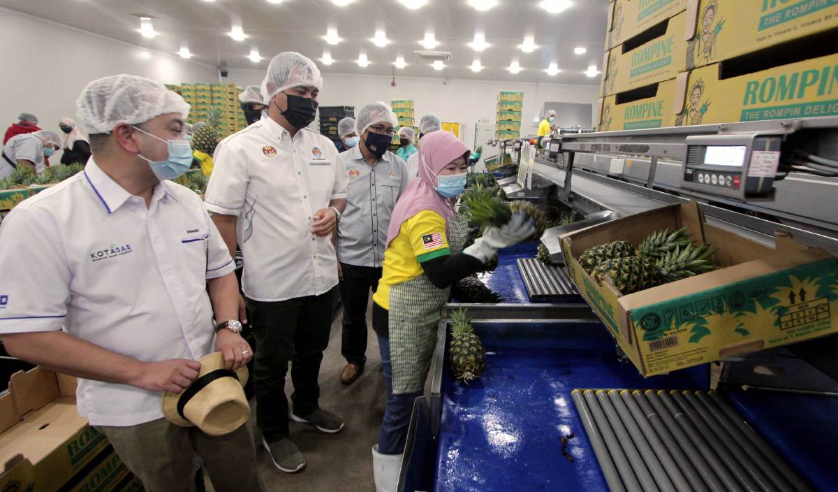 DR Shahruddin (dua,kiri) melawat kilang pembungkusan nanas milik Rompin Integrated Pineapple Industries Sdn Bhd (RIPI) sempena lawatan kerja beliau hari ini. FOTO BERNAMA