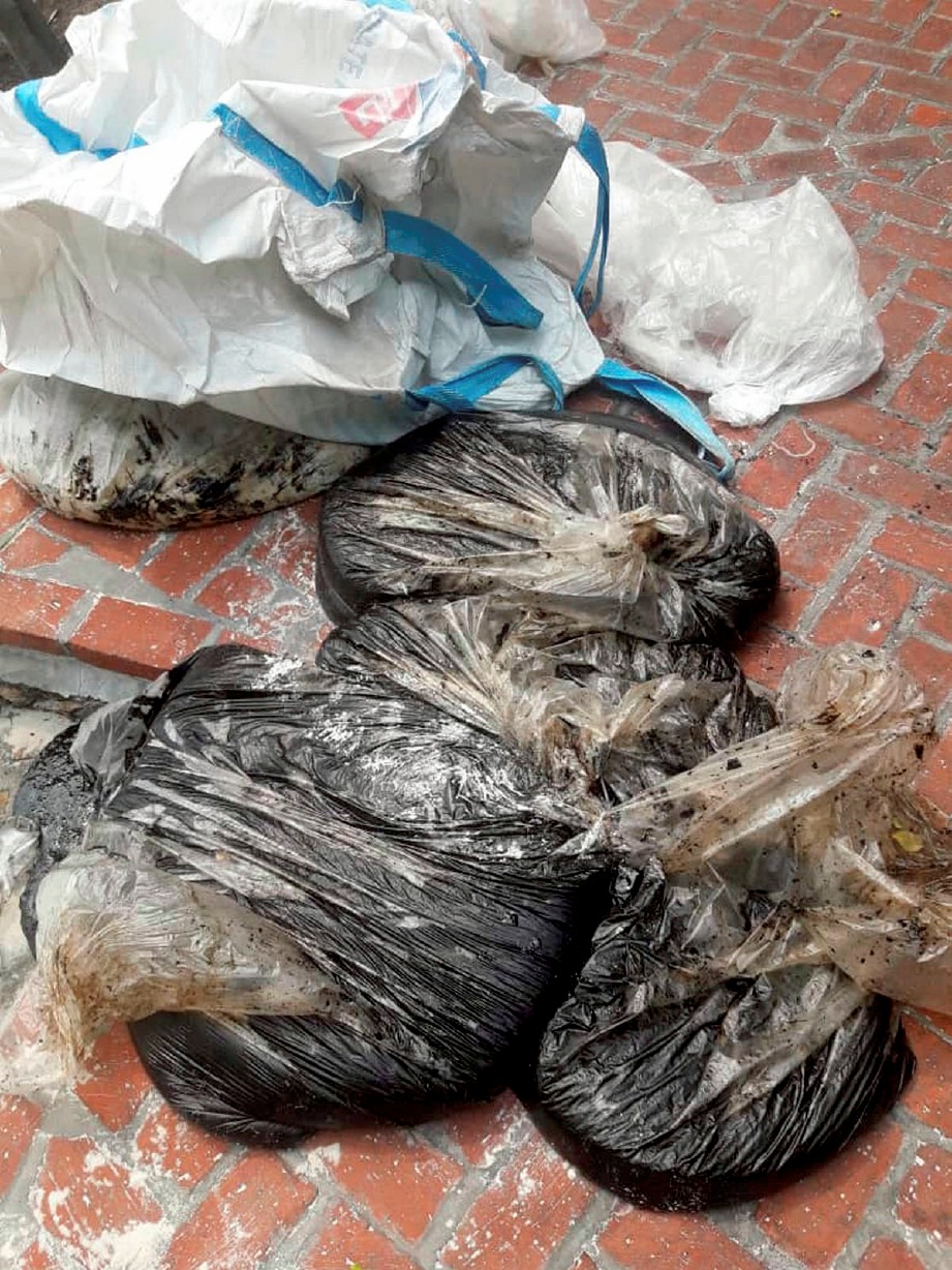 SISA minyak yang dikumpul dimasukkan dalam beg plastik. FOTO ihsan Jabatan Laut