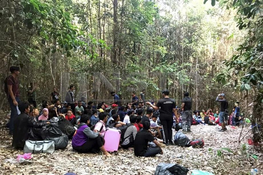 SERAMAI 106 PATI ditahan ketika serbuan di hutan berhampiran Tiara Resort, Bandar Penawar, Kota Tinggi, petang semalam. FOTO Ihsan Polis