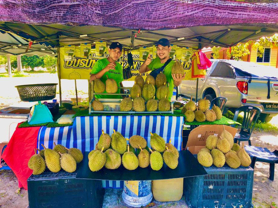 PELBAGAI varieti durian 