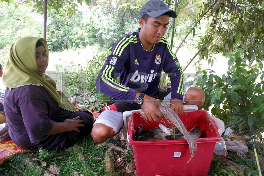 MAIMUNAH melihat anaknya Mohd Ismizi Mat Ishak, 28, memasukkan keli ke dalam tong selepas dipancing di Sungai Gadek, Alor Gajah, hari ini. Foto HASSAN OMAR