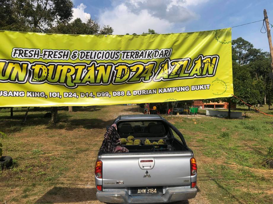 PINTU masuk Dusun Durian D24 Azlan.