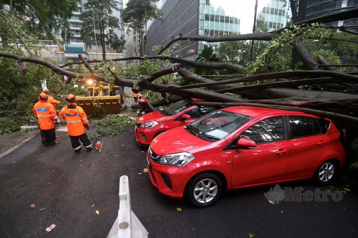 ANTARA kenderaan yang mengalami kerosakan selepas ditimpa pokok tumbang di Jalan Pinang. FOTO Mohamad Shahril Badri Saali