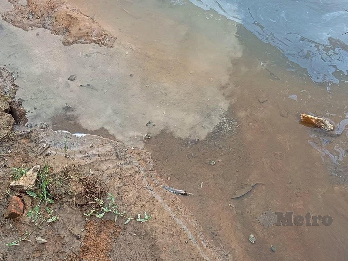 Kesan pencemaran di tali air Sungai Tawakal ke Sungai Pandan yang didakwa berlaku pencemaran dari sisa bahan kimia berdekatan Kampung Baru Sri Aman, Kempas di Johor Bahru. Foto Omar Ahmad 