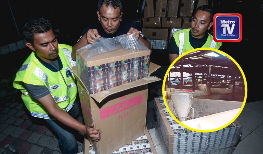 ANGGOTA polis  mengangkat kotak rokok yang  dirampas daripada satu serbuan penyeludupan rokok di Markas Operasi Pasukan Gerakan Marin PDRM, Pulau Indah. Gambar kecil,  LADANG ternakan babi antara lokasi yang sering digunakan sindiket. FOTO Muhammad Sulaiman & Yazit Razali
