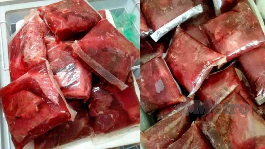 Jual daging rusa palsu