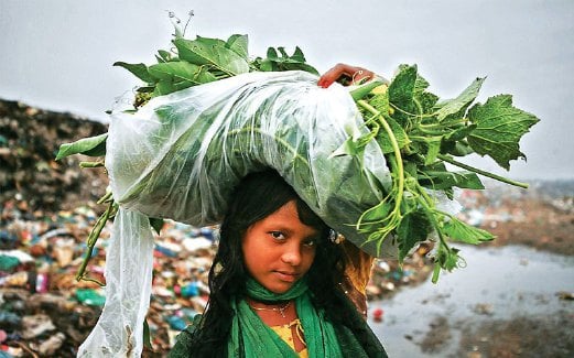 SEORANG kanak-kanak perempuan  membawa pulang sayur yang dikutip di tapak pelupusan sampah.