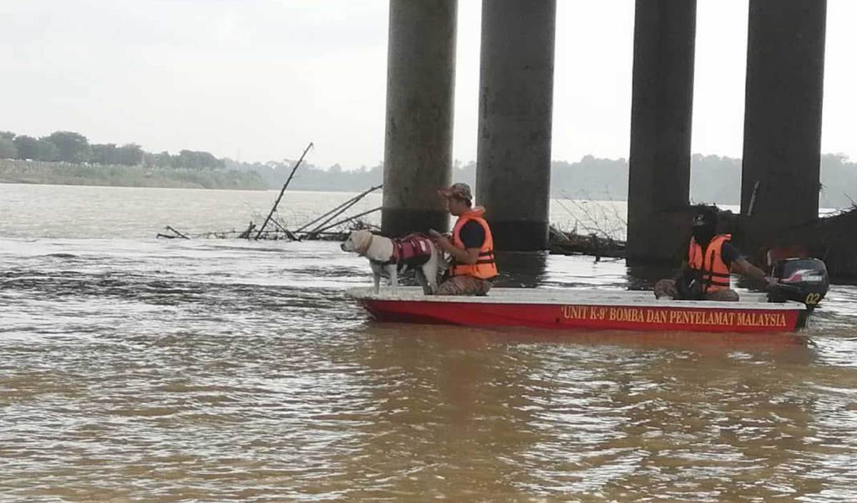 ANJING dari Unit Pengesan (K9) JBPM baka Springer Spaniel yang dinamakan Grouse dibawa menaiki bot untuk membantu SAR mangsa terjun jambatan di Kampung Tendong, Pasir Mas. FOTO Ihsan JBPM