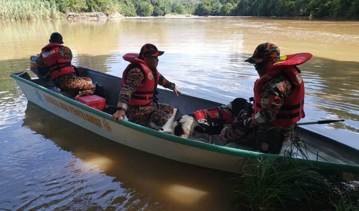 ANGGOTA bomba termasuk anjing pengesan menjalankan operasi SAR di sekitar lokasi bot karam di Sungai Penawan, Kampung Sin-Singon, Sepulut. FOTO Ihsan JBPM