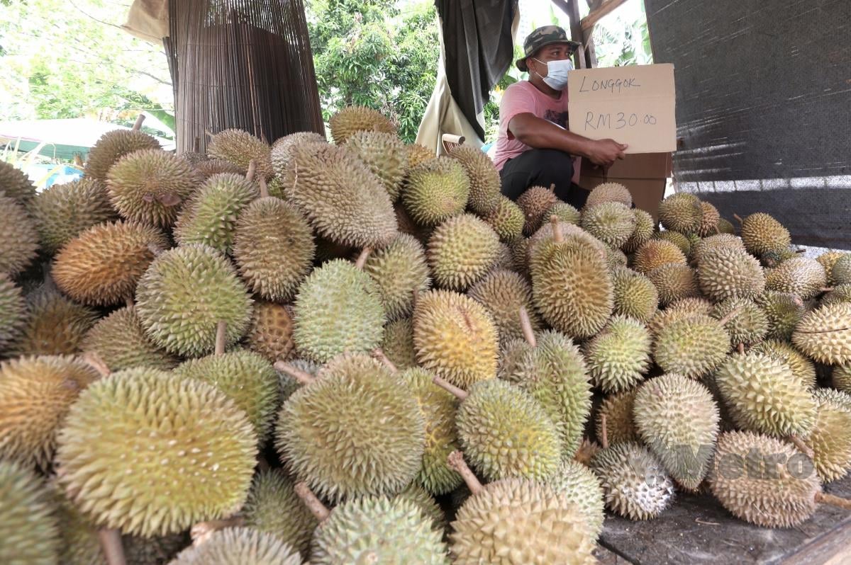 Abid Zarim Abdul Rahim terpaksa menurunkan harga susulan kejatuhan harga durian dibeberapa negeri ketika ini dengan cara jualan longgok di Eko Park, Pantai Dalam. FOTO AMIRUDIN SAHIB.