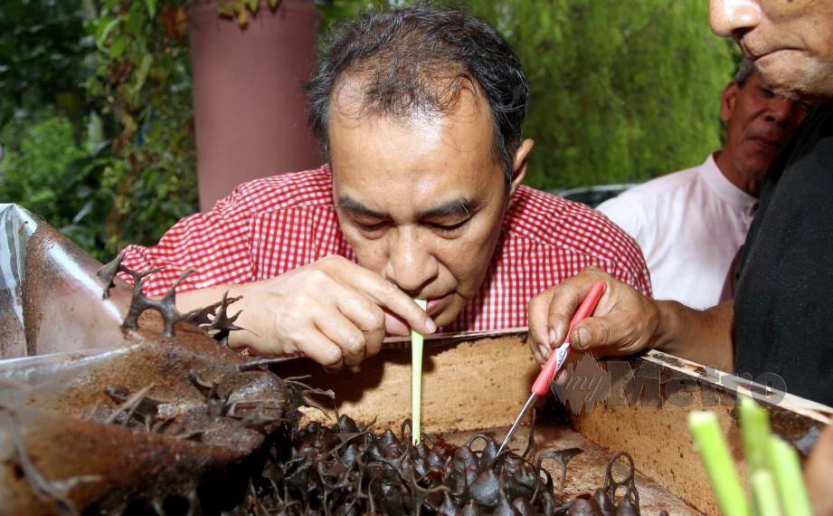HUSAM mencuba menyedut madu kelulut dengan menggunakan serai buluh yang dijadikan straw di tapak projek Tanaman Mangga Harum Manis di Kampung Paloh Tendong. FOTO Nik Abdullah Nik Omar 