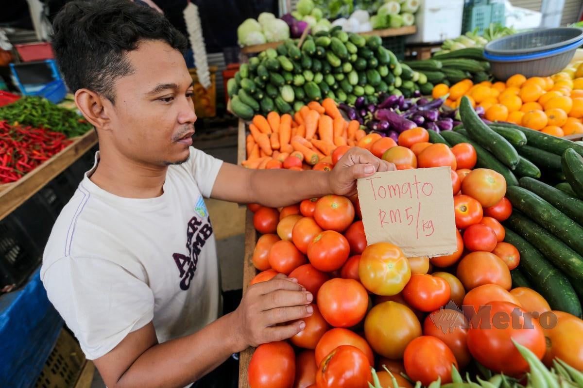 SAM Shamsul meletakkan tanda harga tomato. FOTO Aswadi Alias