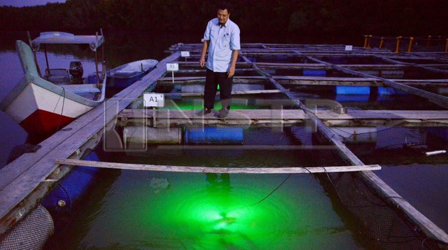 PEGAWAI SIRIM melakukan pemeriksaan kolam ternakan menggunakan teknologi UFAL di waktu malam. FOTO ihsan SIRIM.