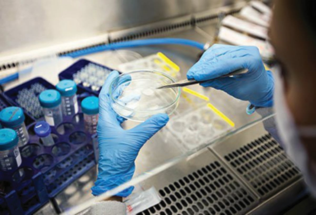 PENYELIDIKAN sel stem membuka kaedah rawatan baharu berasaskan sel untuk merawat penyakit. 