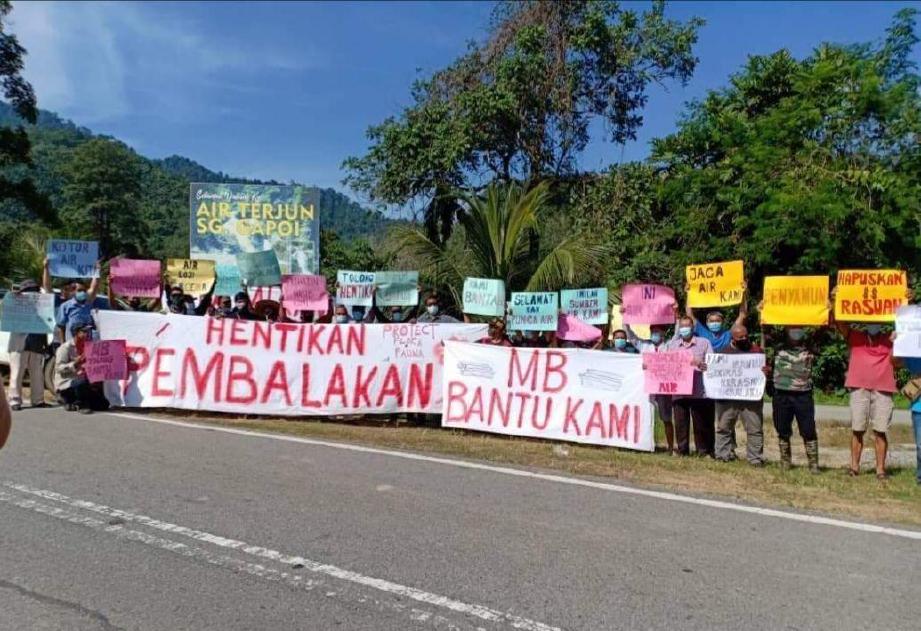 Mencemaskan 15 Ribu Hektare Lebih Hutan Riau Korban Pembalakan Liar Republika Online