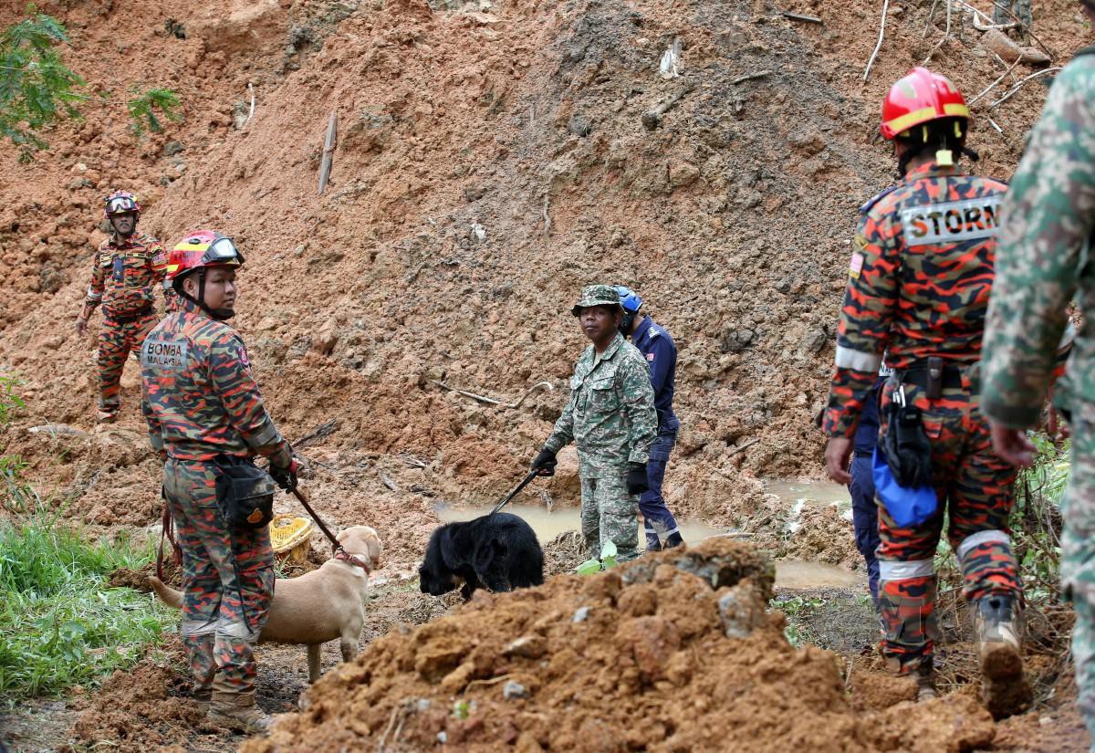 ANGGOTA penyelamat menggunakan anjing pengesan ketika melakukan kerja-kerja mencari dan menyelamat (SAR) mangsa runtuhan tanah. FOTO Eizairi Shamsudin