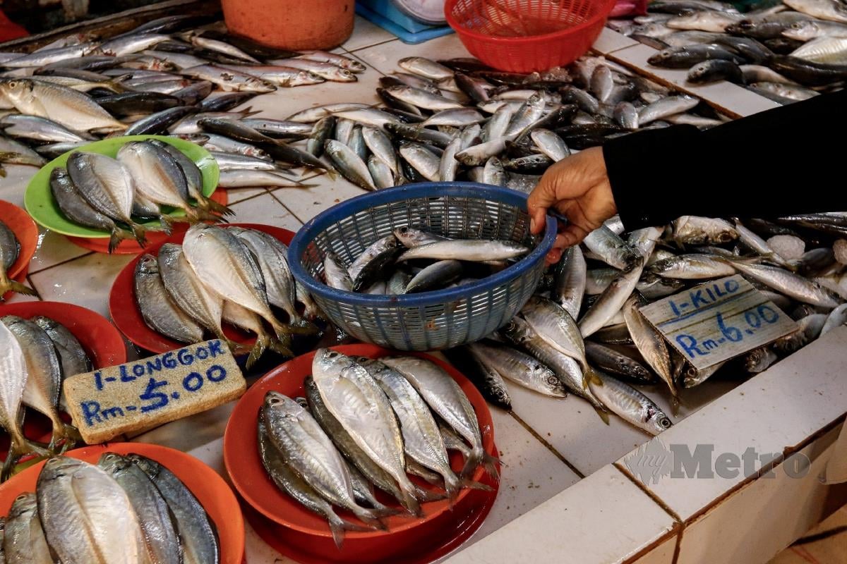 Harga pelbagai jenis ikan yang dijual di pasar basah ketika tinjauan di Pasar Raja Bot, Kuala Lumpur. FOTO SADIQ SANI
