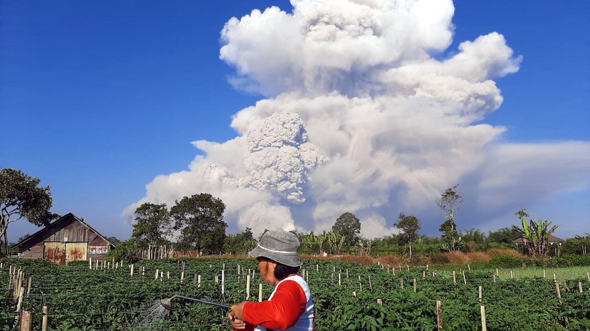 PETANI menyiram tanaman ketika Gunung Sinabung mengeluarkan debu dan asap tebal ke udara. FOTO AFP 