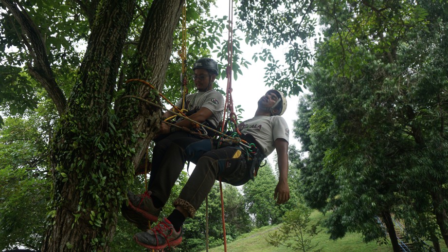 PESERTA membuat latihan praktikal cara memanjat pokok. FOTO KRESMA