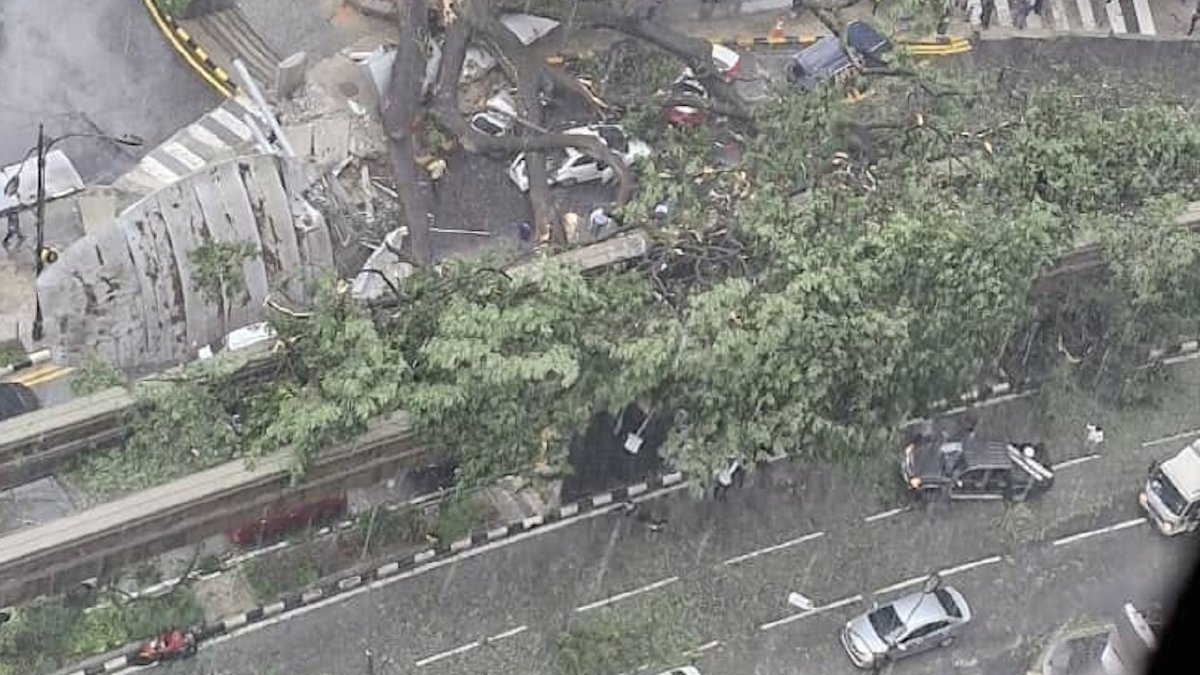 KEJADIAN pokok tumbang di Jalan Sultan Ismail. 