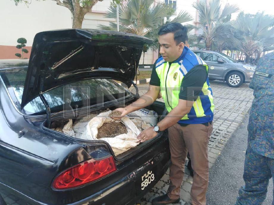 TIMBALAN Komander Risikan dan Operasi AKSEM Kedah, Inspektor Ananda Krishnan menunjukkan sebahagian 20 guni benih kerang yang ditemui di belakang bonet kereta Proton Perdana yang cuba diseludup dua lelaki ke Thailand. FOTO Zuliaty Zulkiffli