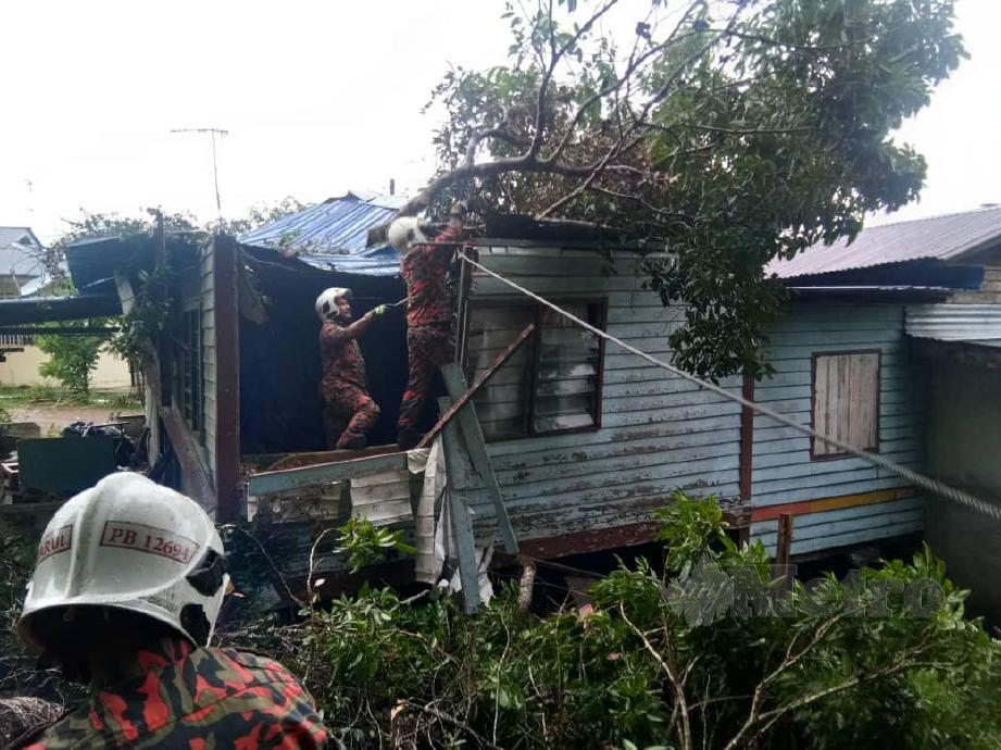 SEBUAH rumah yang dihuni satu keluarga dihempap sepohon pokok dalam kejadian di Kampung Kelulut. FOTO Ihsan Bomba