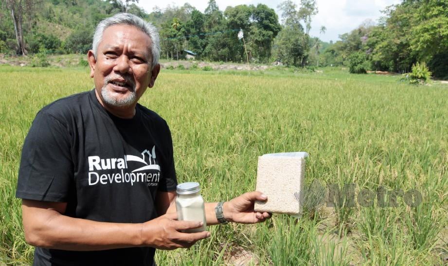 ZAKARIA Kamantasha, 53, menunjukkan beras organik yang diusahakannya di Sri Lovely Organik Farm, Kampung Lintang, Belantik. FOTO Amran Hamid