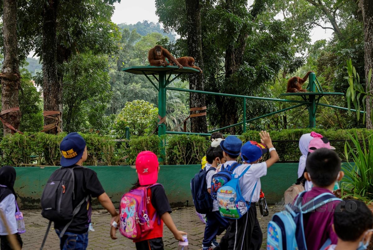 Sekumpulan pengunjung ciik tidak melepaskan peluang mengunjungi Zoo Negara sempena bermulanya musim cuti sekolah ketika tinjauan hari ini. FOTO BERNAMA