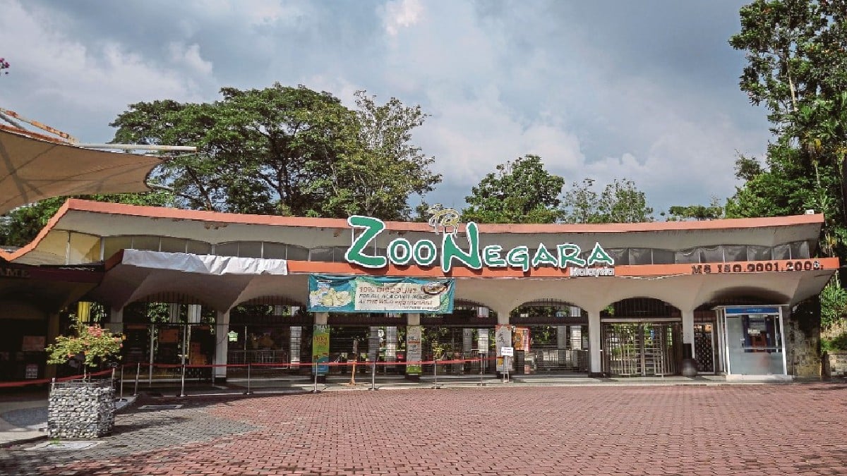 zoo negara terjejas akibat PKP 2.0