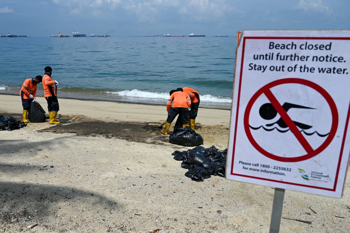 Pekerja membersihkan sisa tumpahan minyak di Pulau Sentosa. - FOTO AFP