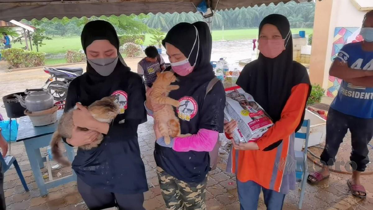 Sukarelawan SAFM bersama kucing yang turut terkesan dengan bencana banjir di Kuala Berang baru-baru ini. Foto SAFM