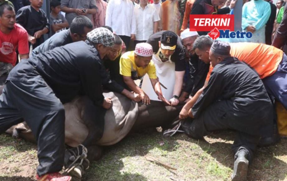 PADANG Kompleks Islam Jubli Perak Sultan Ismail Petra, Panji. FOTO Zaman Huri Isa
