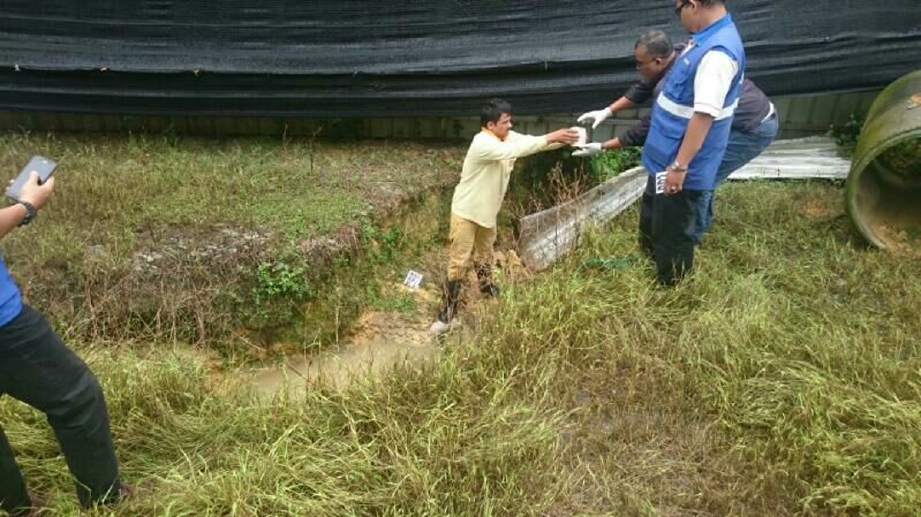 Sampel air dari ladang ternakan ayam diambil untuk ujian makmal. - Foto Ihsan Sukarelawan Perikanan (SUPER)