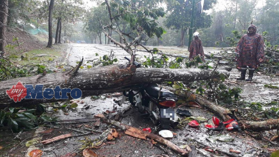 KEADAAN motosikal mangsa yang remuk akibat dihempap pokok Akasia yang tumbang di Jalan Masjid, Muadzam Shah, Rompin, hari ini. FOTO Ihsan JBPM