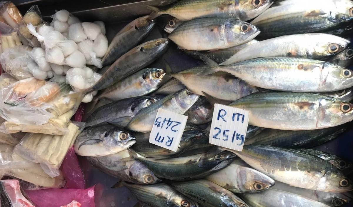 ANTARA ikan yang dijual di Pasar Pagi Jalan Ara Kiri, Bangsar, Kuala Lumpur.