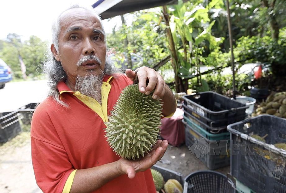 Kampung harga 2021 durian Durian semakin