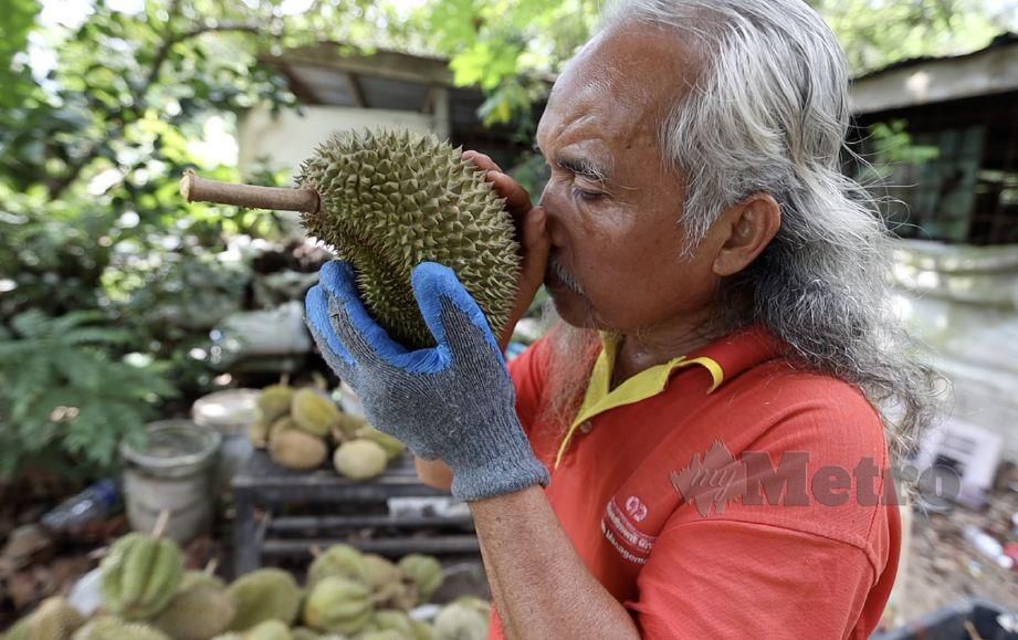 MOHAMAD Alias menunjukkan cara menghidu durian untuk memastikan kualitinya. FOTO Azrul Affandi Sobry